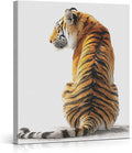 Modern Tiger Wall Art Decor Majestic Tiger White Print Picture Modern Animal Wall Decor for Home Living Room Bedroom 8x10 Inch Canvas Framed