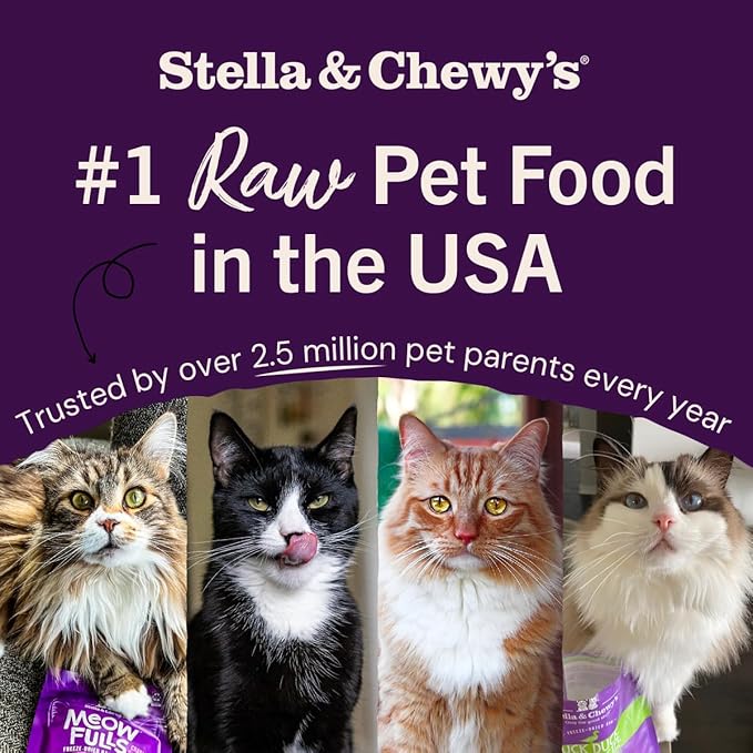 Stella & Chewy's Freeze-Dried Raw Cat Dinner Morsels - Premium Duck & Goose Recipe with 98% Cage-Free Poultry & Organs - Natural Grain-Free Cat & Kitten Food - Made in USA - 8 oz