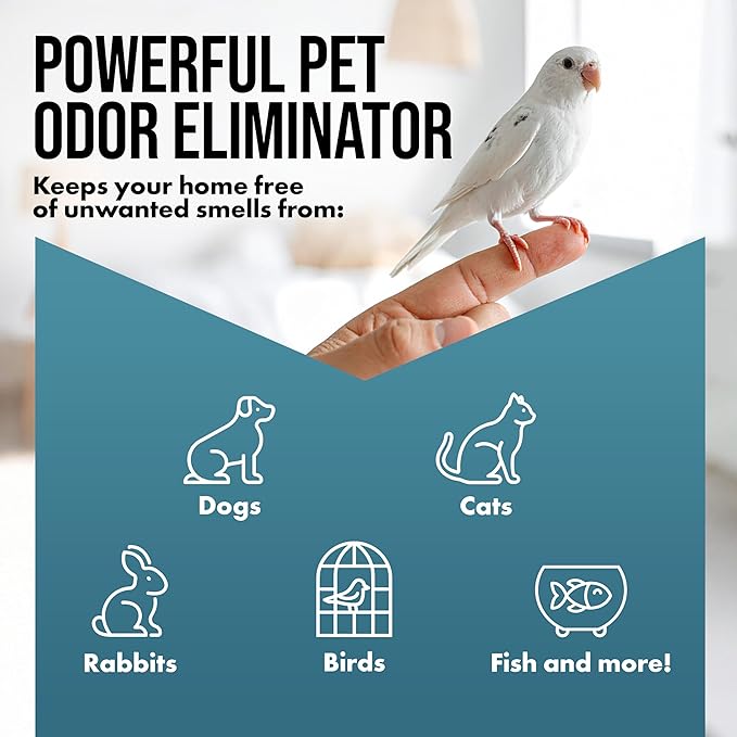 Harris Pet Odor Eliminating Gel -Unscented