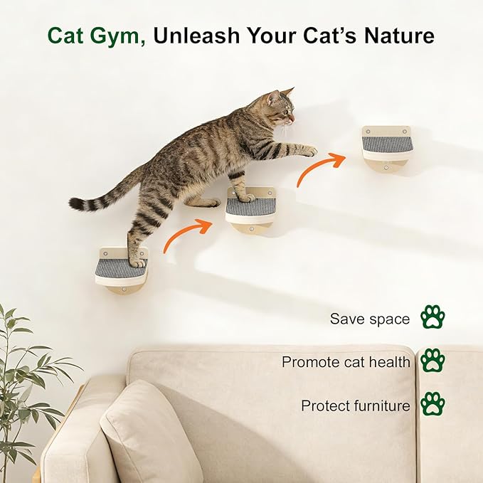 TIMHAKA 3 Pcs Cat Wall Shelves, Wooden Kitten Wall Climber for Indoor Cats, Cat Wall Furniture with Non-Slip Carpet for Climbing, Jumping & Playing