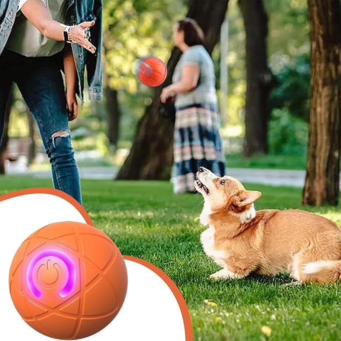 Interactive Cat Toy Ball - Automatic Cat Toy, USB Interactive Dog Ball Toy, Rolling Ball Dog Toy, Rechargeable Dog Interactive Toys Dog Ball with LED Light, Indoor Active Rolling Toys for Indoor Play
