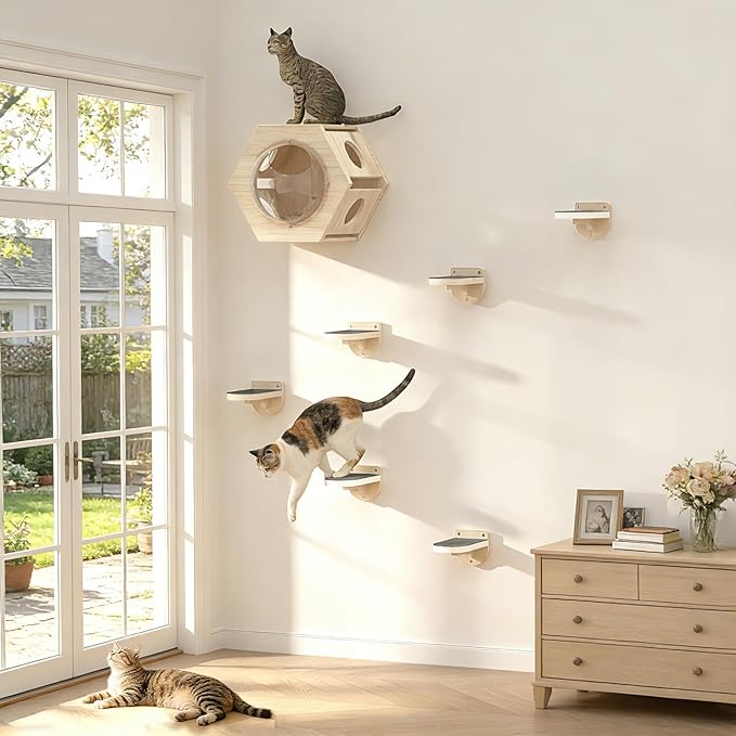 TIMHAKA 3 Pcs Cat Wall Shelves, Wooden Kitten Wall Climber for Indoor Cats, Cat Wall Furniture with Non-Slip Carpet for Climbing, Jumping & Playing