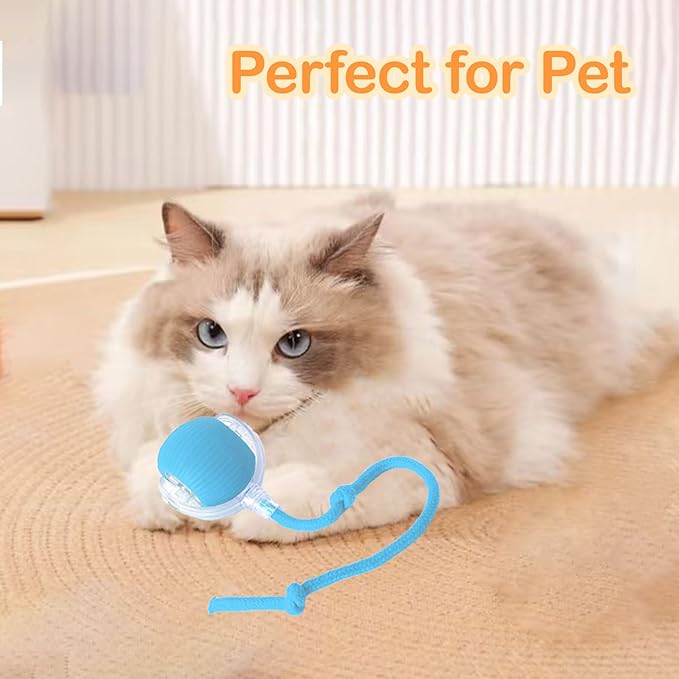 Interactive Cat Toys, 2025 Upgraded Cat Ball Automatic Moving with Tail, Interactive Kitty Toy for Indoor Cats, Smart 360° Self Rolling Dog Ball Toys (Blue)