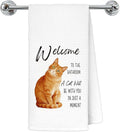 Funny Orange Tabby Cat Bathroom Hand Towels, Cat Lovers Mom Dad Lady Gifts, Welcome to The Bathroom Orange Kitten Decorative Hand Towels for Washroom Restroom, 16x24 Inch