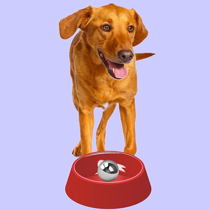 SUS304 Stainless Steel Dog Food Slow Feeder Ball - 3in - Slows Fast Eating, Prevents Choking, Bloating & Obesity - Fun Feeding for All Dogs - Durable, Smooth & High Adaptability (Medium 3Inch)