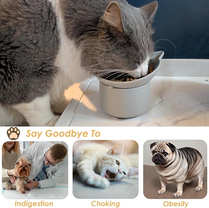 Elevated Cat Bowl, Silicone Kitten Bowls for Food and Water, Wide Shallow Cat Food Dish, Whisker Fatigue, Lead & Cadmium Free, Great Height for Small Pet (LightGrey)