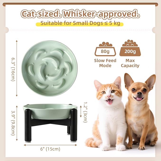 Elevated Slow Feeder Cat Bowl - Melamine Cat Food Plate with Anti-Slip Metal Stand - Raised Maze Dish for Slow Eating - Mint Green