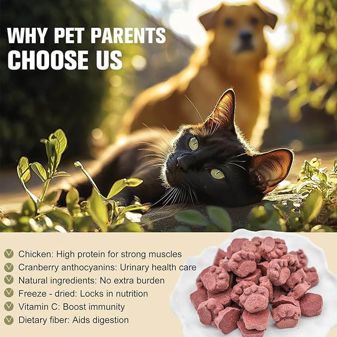 Memorjew 25PCS Chicken & Goat Milk Freeze- Dried Lollipops｜Individually Wrapped, Portable Dental Food for Dogs & Cats (Chicken & Cranberry 50g)