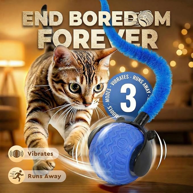 Interactive Cat Toy Ball for Indoor Cats, 2026 Automatic Moving Cat Toy with Feather Tails, 3-Mode Activated Self Rolling Smart Ball, Rechargeable Toy for Small Medium Large Cats (Blue)