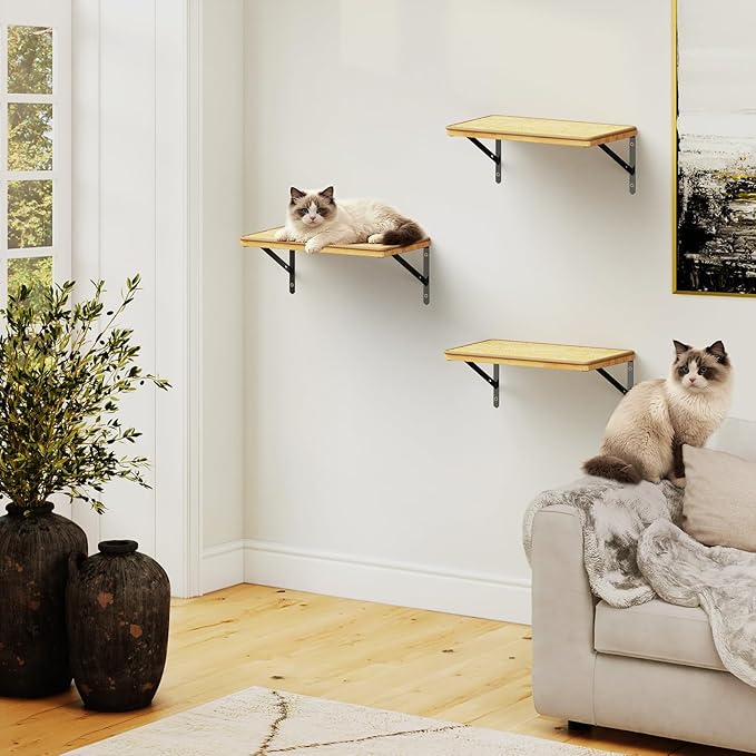 3Pcs 16.5"×10" Large Cat Wall Shelves - Wall Mounted Cat Shelves, Natural Wood with Fixtures for Large Cats and Kittens for Household Pets Sleeping, Playing, Climbing