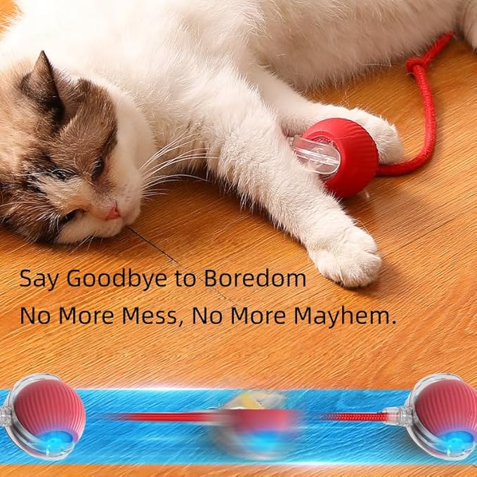 Interactive Rolling Cat Dog Ball Toy,Smart Tapped Awake Balls Toys,Fast Moving Balls Toys for Pets