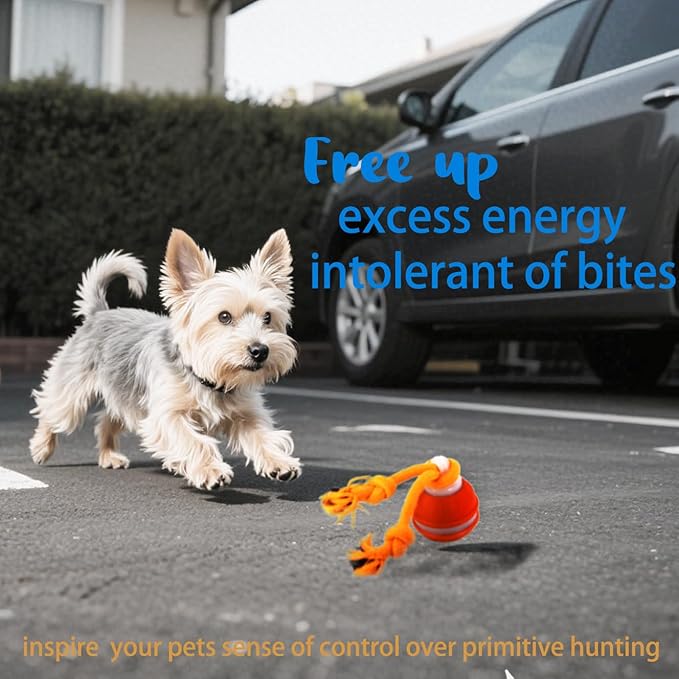 KumCinn Power Tail 2.0 Automatic Moving Dog Ball - Interactive Dog Toy | Self-Rolling, Motion Activated Electric Pet Ball to Keep Dogs Busy & Relieve Boredom (Suitable for All Dog Breeds)