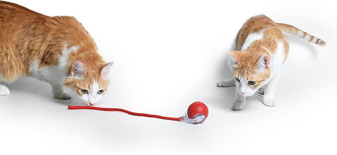 Interactive Cat Toys for Indoor Cats with Feather, Rechargeable Automatic Cat Toy Keeps Your Cat Active & Engaged, Durable & Safe Speedy Tail 2.0 Cat Toy (Red)