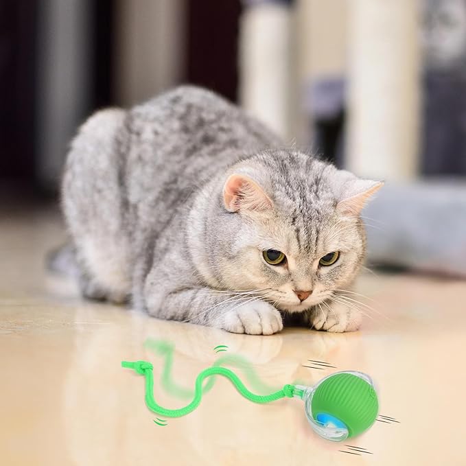 Interactive Cat Toys Ball for Indoor, USB Rechargeable Automatic Interactive Cat Toys with Speedy Tail Rope for Cats, Keep Them Busy