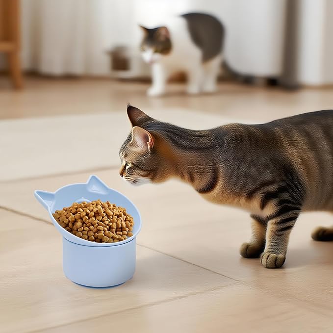 Cat Slow Feeder, Elevated Slow Feeder Bowl Tilt Design, No Black Chin, Tilted Design, for Dry Wet Food, for Cats & Small Dogs (Blue)
