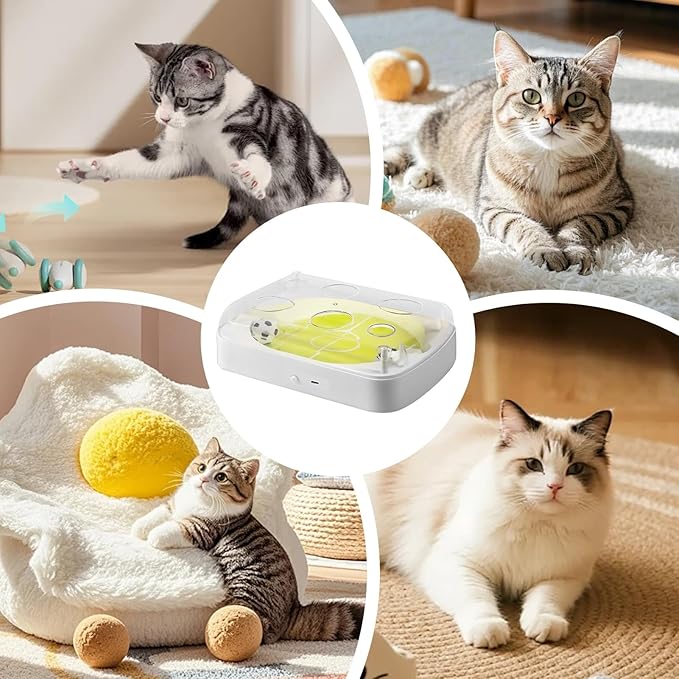 Electric Cat Ball Toy - Interactive Soccer Ball with Catnip, Automatic Rolling Cat Toy for Indoor Training Exercise Mental Stimulation Hunting Simulation Floor Play Travel
