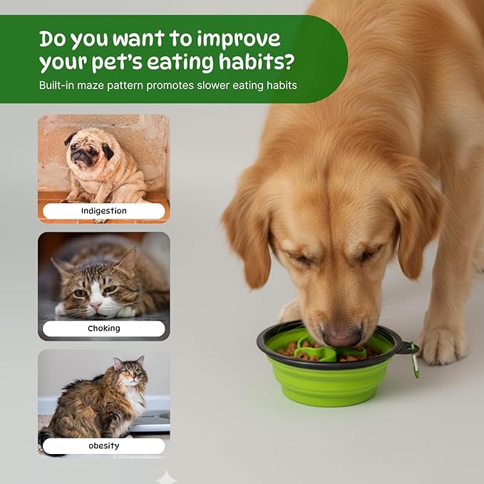 Collapsible Cat Bowl, Maze Design Pet Puzzle Feeder, 650ml Dog Slow Feeding Bowls, Dog Slow Feeder Bowl with Carabiner Portable BPA-Free Silicone Pet Bowls for Hiking,Travel, Camping - ColorGreen
