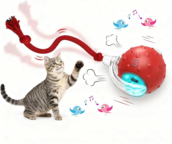 Interactive Cat Toys Ball for Indoor Cats Fast Rolling on Carpet, Chirping & Motion Activate Cat Toys (Red)
