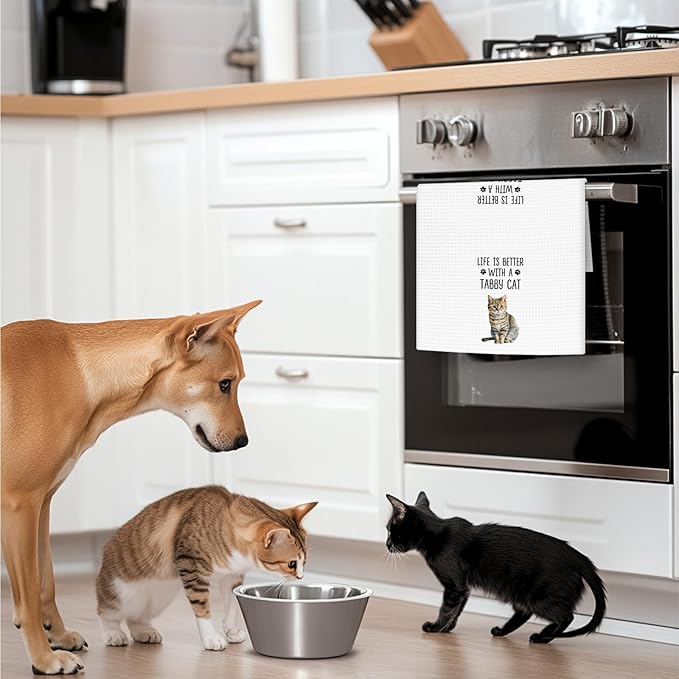 Tabby Cat Gifts Kitchen Towels Set of 2, Gifts for TabbyCat Lovers Hand Towels, Life is Better with a Tabby Cat Dish Towel Tea Towel for Kitchen, Cat Kitty Owners Kitchen Decor, 16x24In