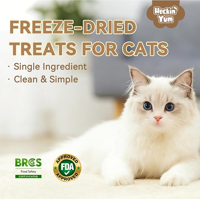 Freeze Dried Beef Liver Cat, Dog Treats, Single Ingredient Food Toppers & Training Snacks, 2 oz