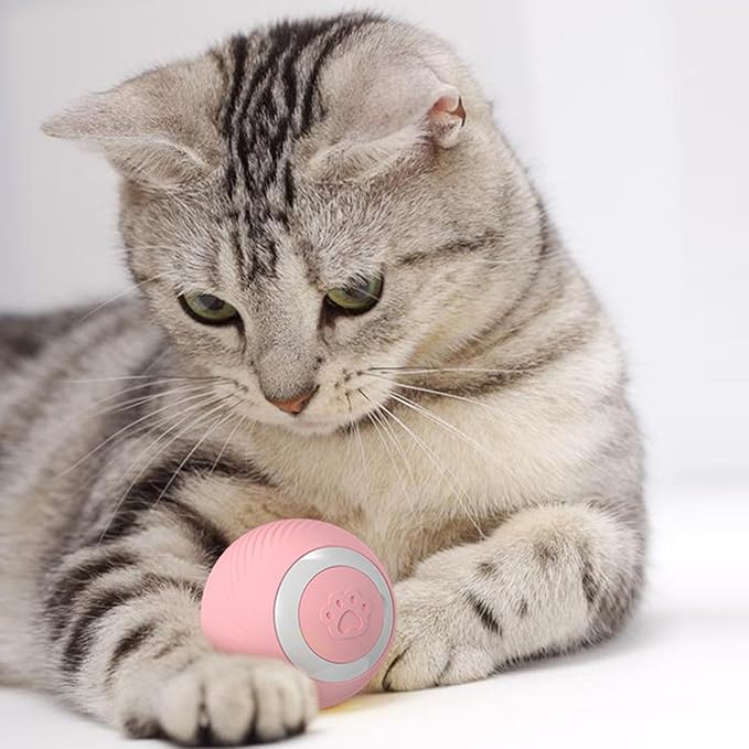 Lighted Moving Ball - Automatic Kitten Toy, Jumping Ball for Cats | Interactive Enrichment Rolling Dog Ball with Lights, Rotating Ball for Cats, Sensory Toy for Cats
