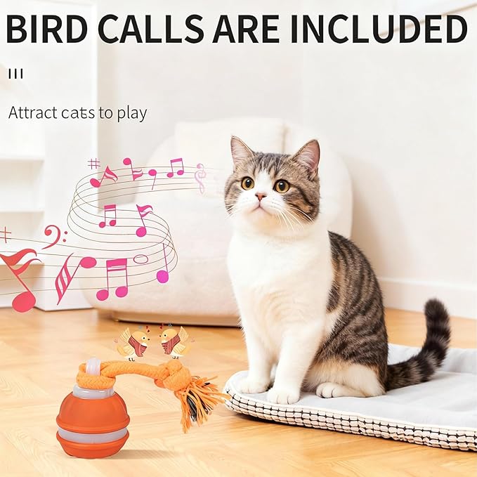 Interactive Dog & Cat Toys for Small Dogs and Indoor Cats - Automatic Moving Ball with Chirping Sound, Motion Activated Self Play Toy to Entertain Bored Pets, Durable USB-C Rechargeable (1 Blue)