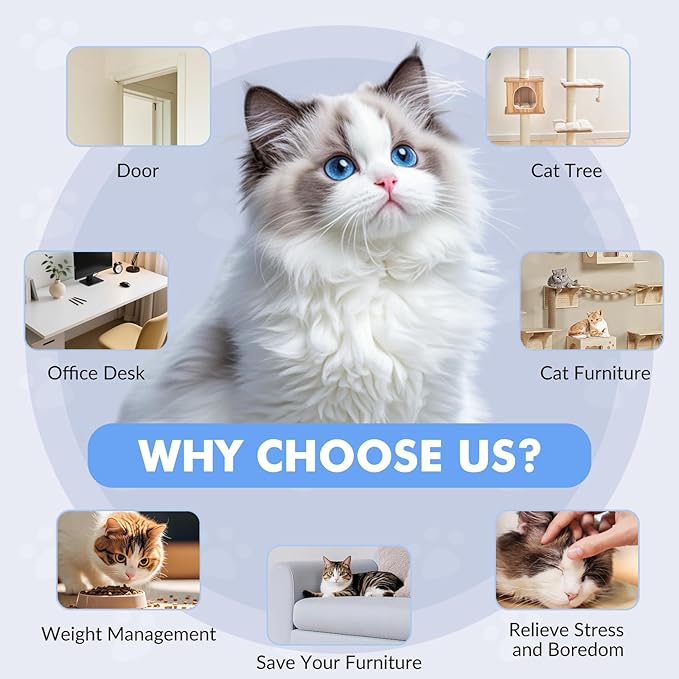 Interactive Cat Toys for Indoor Cats, Automatic Electric Flying Bird Feather Wand Toy, Rechargeable Electric Exercise Feather Toy for Bored Kittens and Adult Cats, Light Blue