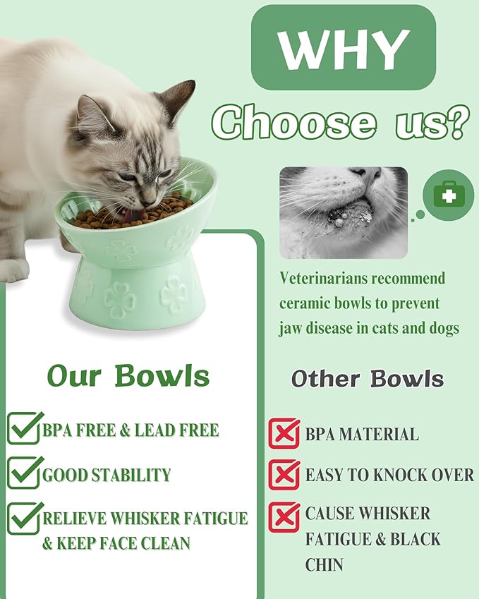 TRUVIC Ceramic Slow Feeder Cat Bowl, 15° Tilted Elevated Cat Slow Eating Bowl for Neck Protection, Anti Vomiting Dog Slow Feeder, Whisker Friendly & No Black Chin for Cats and Small Dogs, Green