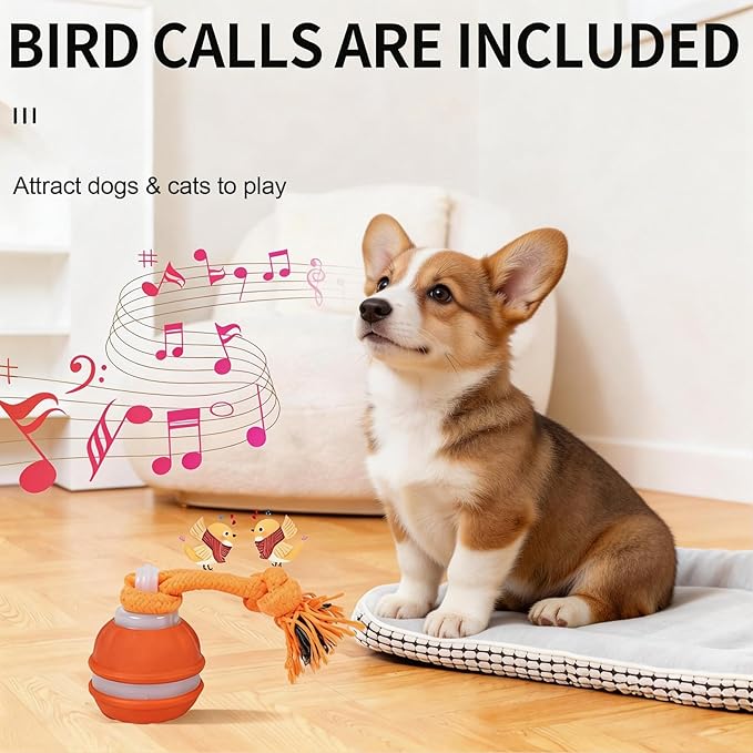 Interactive Dog Toy - Automatic Rolling Ball with Bird Sound, Durable Chew Toy for Small Medium Dogs & Cats, Type-C Rechargeable (Orange)