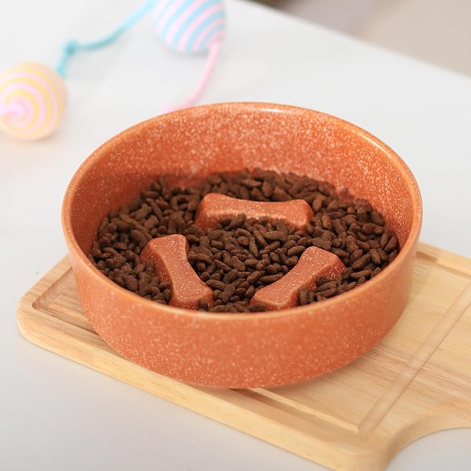 Ceramic Slow Feeder Cat Bowls 6 Inch Cute Bone Slow Feeding Dog Food Bowl,Whisker-Friendly, Anti-Vomiting Feeder for Cats and Small Dogs Non Slip Dishwasher/Microwave Safe (Orange)
