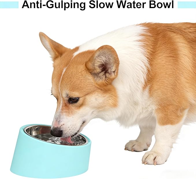 15° Slow Water Bowl for Medium Dogs (Medium, Blue), Anti-Gulping Pet Water Dish for 10-15kg Dogs, Non-Spill Raised Dog Bow
