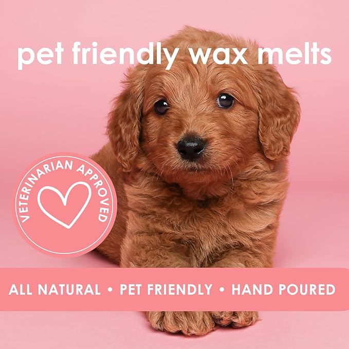 Cotton Candy | Pet Friendly Wax Melts | Natural Soy | Clean Burning | Non-Toxic | Veterinarian Approved | Pet Odor Eliminator | Air Freshening Scented Wax Melts