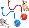 2Pcs Tinyfetch Dog Toy, Interactive Dog Cat Toys Balls with Birdsong, Rechargeable 360° Smart Automatic Rolling Electric Dog Ball Toy with Rope for Pets Indoor & Outdoor Play (Red+Blue)