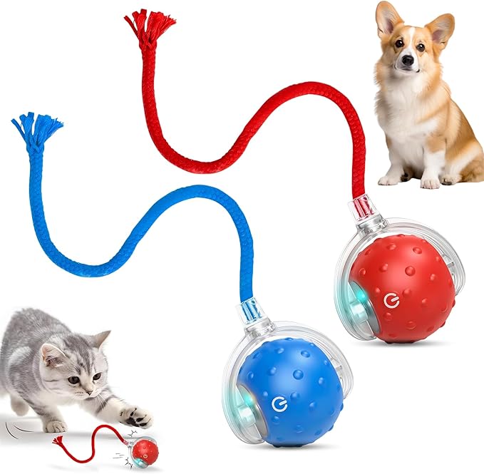 2Pcs Tinyfetch Dog Toy, Interactive Dog Cat Toys Balls with Birdsong, Rechargeable 360° Smart Automatic Rolling Electric Dog Ball Toy with Rope for Pets Indoor & Outdoor Play (Red+Blue)