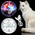 Sratte 2 Pcs Rechargeable Cat Ball Ghost Hunting Light up Cat Balls Toys Motion LED Motion Activated Flash Glowing Lighted Dog Interactive Toys Pet, Clear