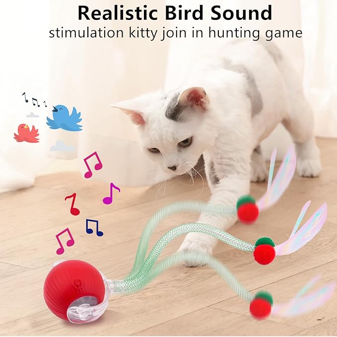 SUPERSUN Interactive Cat Toy Balls, Automatic Rolling Cat Tease Ball with Bird Chirping Sound & 3 Modes, Rechargeable USB Kitten Toys for Indoor Cats, 2 Fun Flexible Tails Stimulate Hunting Instincts