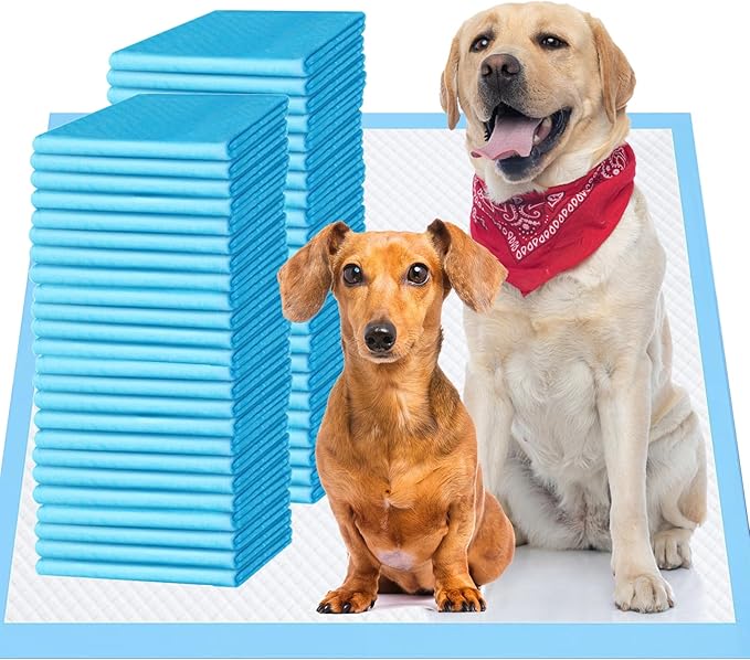 Upgrade Leak-Proof Pet Training and Puppy Pads, Jumbo Pee Pads for Dogs with Thicken Polymer Heavy Absorbency, Quick Dry Disposable Pee Pads for Cats Dogs - 30 Counts
