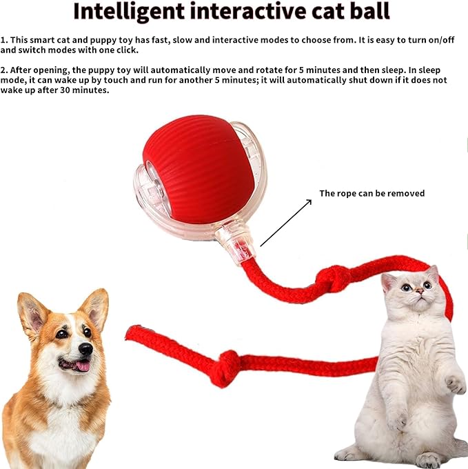 Interactive Dog Cat Toy Ball, Automatic Moving Bouncing Rolling, with 3 Mode Adjustable Speed, Pet Smart Chase Ball Rechargeable, Enrichment Toys for Bored Indoor Adult Cats/Dogs