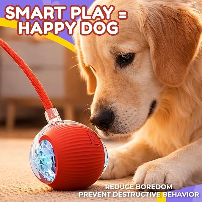Interactive Smart Rolling Ball Toy for Cats & Small Dogs, Rechargeable Automatic Self-Moving Pet Toy with 360° Motion, Durable Exercise Ball for Indoor Play