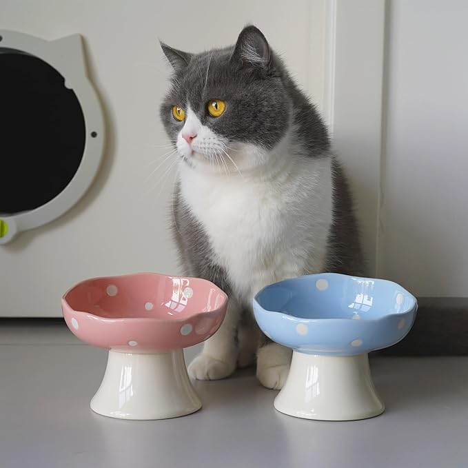 Ceramic Elevated Cat Bowls, Tilted Raised Pet Dish for Indoor Cats, Whisker Friendly Pet Food and Water Bowl for Kitten, Cat, Puppies, Dishwasher Safe (Pink+ Blue)