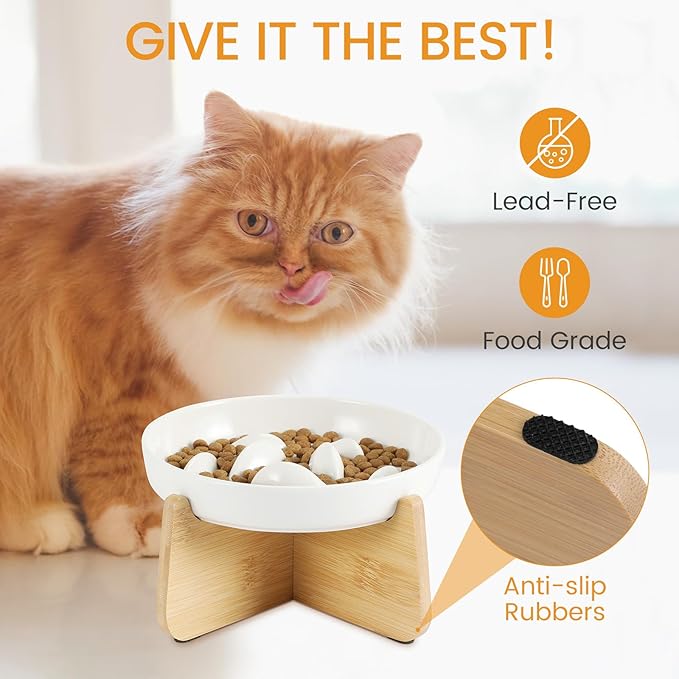 PETTOM Slow Feeder Cat Bowl with Stand, Ceramic Slow Eating Cat Bowl with Higher Edges Fish Pool Design Elevated Food Bowls for Dry and Wet Food Anti-Vomiting Puzzle Feeder for Healthy Eating Diet