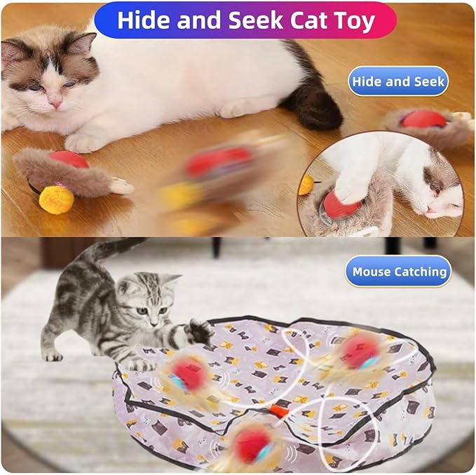 Interactive Cat Toys for Indoor Cats,Hide and Seek Cat Toy Automatic Motion Kitten Toys for Bored Cats Exercise with 2 Balls