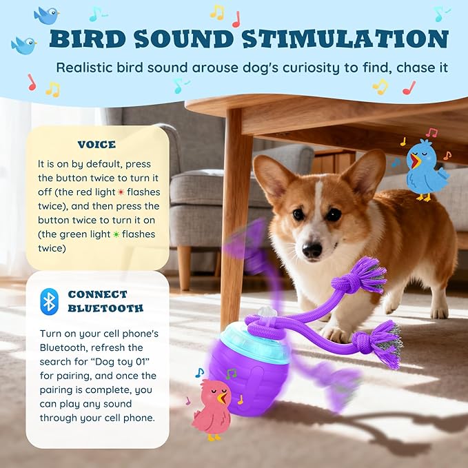 Interactive Dog Toys Ball - New Upgraded Chase Buddy Dog Toy for Small Dogs, Automatic Moving and Rolling Dogs Ball for Boredom, USB Rechargeable(Purple)
