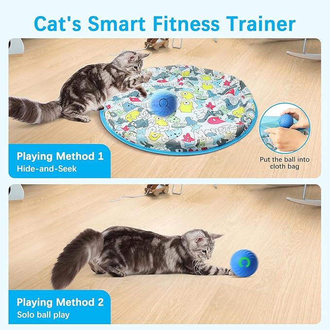 Interactive Cat Toy Ball, Fast Rolling in Pouch, Motion Activated, Hide and Seek, Indoor Exercise