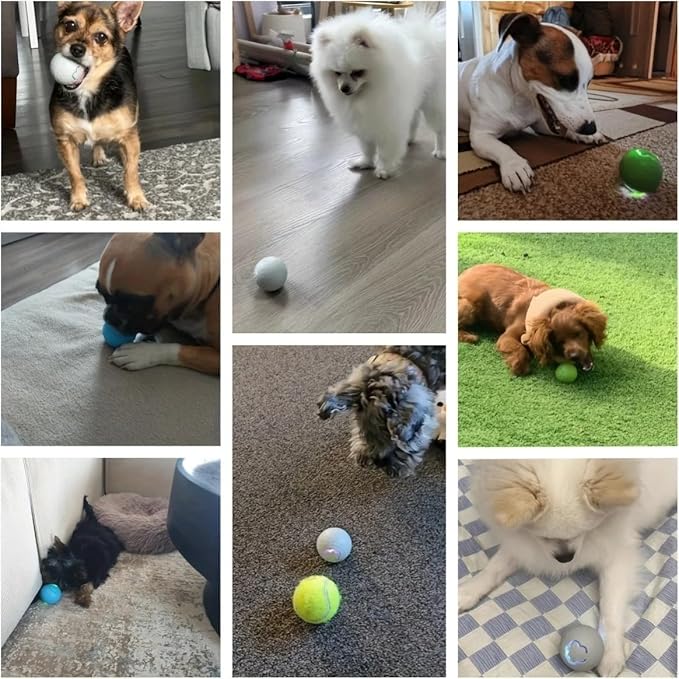 Smart Interactive Dog Toy Ball, USB Rechargeable Automatic Rolling & Bouncing Pet Ball with RGB Lights for Dogs and Cats