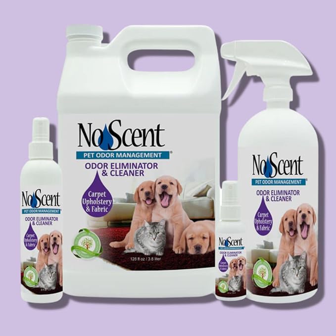 No Scent Carpet Upholstery & Fabric Furniture Spray Spot Cleaner for Wet Dog Smell, Cat Spray, Pet Odor, Urine, Poop & Secretions (8 Fl Oz / 237 mL)
