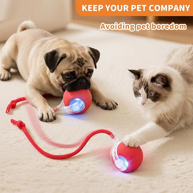 Interactive Cat Toys for Indoor Cats Smart Automatic Ball Rolling for Bored Kitten Pet Upgraded Speedy Moving Chase Dogs Toy Easter Gifts Red