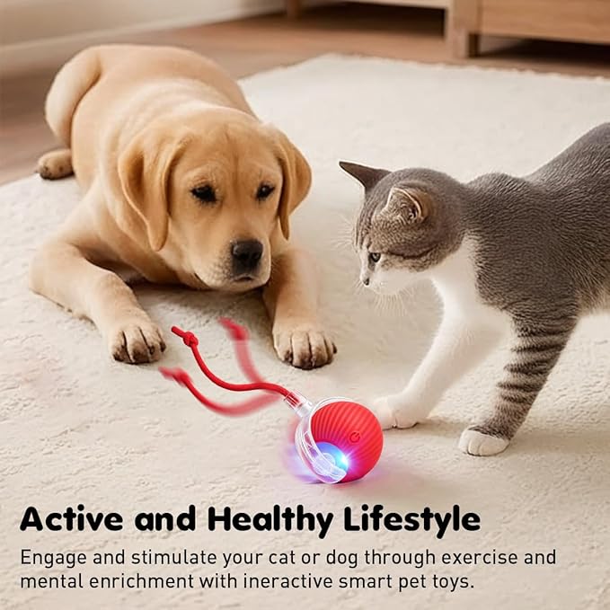 Interactive Cat Toy Ball - Speedy Motion Activated Rolling Toy for Indoor Cats, Smart Automatic Moving Stimulation to Keep Them Busy, Fun Cat Toys for Bored Adult Cats & Dogs（Red）
