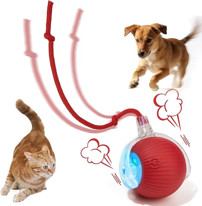 Interactive Dog & Cat Toy, Electric Automatic Rolling Moving Toys, Self Activated Play Smart Rolling Ball for Dogs & Cats, Chase Teaser Pet Ball for Bored Indoor Cats & Dogs