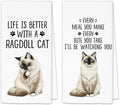 Ragdoll Cat Gifts Kitchen Towels Set of 2, Gifts for RagdollCat Lovers Hand Towels, Life is Better with a Ragdoll Cat Dish Towel Tea Towel for Kitchen, Cat Kitty Owners Kitchen Decor, 16x24In